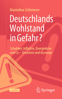 Deutschlands Wohlstand in Gefahr? - Maximilian Schlemmer - E-Book