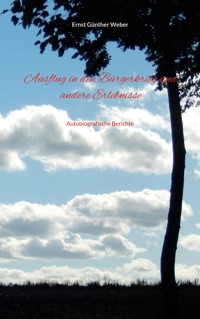 Ausflug in den Bürgerkrieg und andere Erlebnisse - Ernst Günther Weber - E-Book