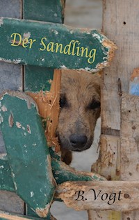 Der Sandling - Benjamin Vogt - E-Book