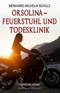 Orsolina – Feuerstuhl und Todesklinik – Ein Venedig-Krimi - Meinhard-Wilhelm Schulz - E-Book