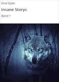 Insane Storys - Ünal Ejder - E-Book