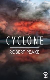 Cyclone - Robert Peake - E-Book