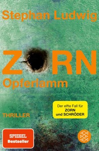 Zorn – Opferlamm - Stephan Ludwig - E-Book