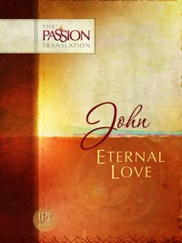 John - Brian Simmons - E-Book