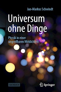 Universum ohne Dinge - Jan-Markus Schwindt - E-Book