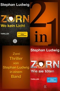 Wo kein Licht / Wie sie töten - Zwei Zorn-Thriller in einem Band - Stephan Ludwig - E-Book