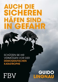 Auch die sicheren Häfen sind in Gefahr - Guido Lingnau - E-Book