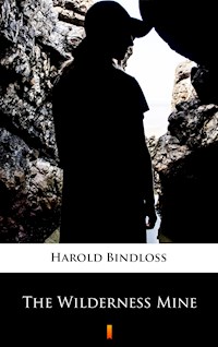 The Wilderness Mine - Harold Bindloss - E-Book