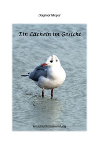 Ein Lächeln im Gesicht - Dagmar Meyer - E-Book