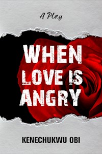 When Love is Angry - kenechukwu obi - E-Book