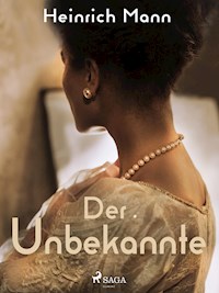 Der Unbekannte - Heinrich Mann - E-Book