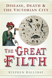 The Great Filth - Stephen Halliday - E-Book