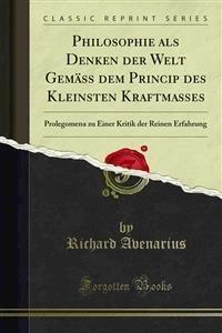 Philosophie als Denken der Welt Gemäss dem Princip des Kleinsten Kraftmasses - Richard Avenarius - E-Book