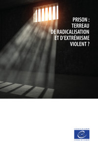 Prison : terreau de radicalisation et d’extrémisme violent ? - Conseil de l'Europe - E-Book
