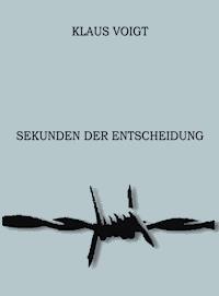 Sekunden der Entscheidung - Klaus Voigt - E-Book