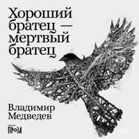 Хороший братец — мертвый братец - Владимир Медведев - Hörbuch