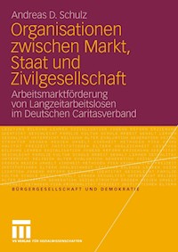 Organisationen zwischen Markt, Staat und Zivilgesellschaft - Andreas D. Schulz - E-Book
