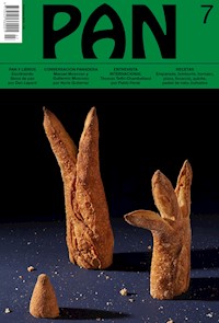 PAN 7 - aa.vv - E-Book