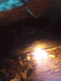 Und am Anfang war das Feuer - Lucie Nixdorf - E-Book