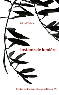 Instants de lumière - Michel Théron - E-Book