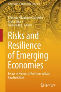 Risks and Resilience of Emerging Economies -  - E-Book