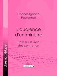 L'audience d'un ministre - Ligaran - E-Book
