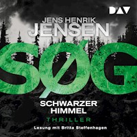 SØG. Schwarzer Himmel. Ein Nina-Portland-Thriller (Teil 2) - Jens Henrik Jensen - Hörbuch