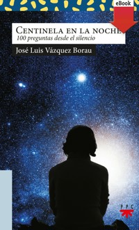 Centinela en la noche - José Luis Vázquez Borau - E-Book
