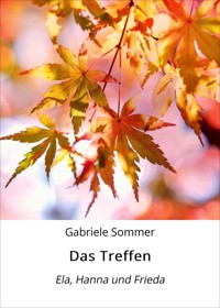 Das Treffen - Gabriele Sommer - E-Book