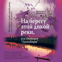На берегу этой дикой реки, или Операция «Ликвидация» - Валерий Редькин - Hörbuch
