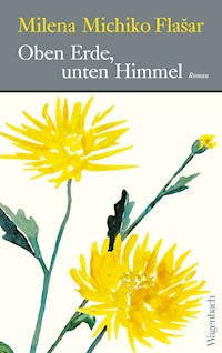 Oben Erde, unten Himmel - Milena Michiko Flasar - E-Book