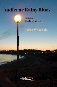 Audierne Rainy Blues - Waschak Hugo - E-Book