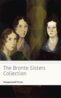 The Bronte Sisters Collection - Anne Bronte - E-Book