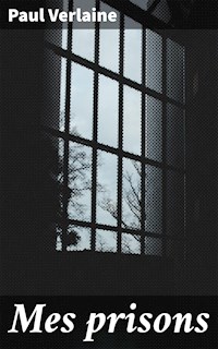 Mes prisons - Paul Verlaine - E-Book