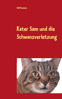 Kater Sam und die Schwanzverletzung - Ralf Husmann - E-Book