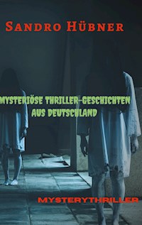 Mysteriöse Thriller-Geschichten aus Deutschland - Sandro Hübner - E-Book
