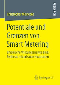 Potentiale und Grenzen von Smart Metering - Christopher Meinecke - E-Book