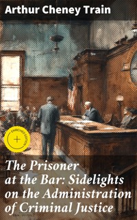 The Prisoner at the Bar: Sidelights on the Administration of Criminal Justice - Arthur Cheney	Train - E-Book