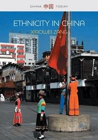 Ethnicity in China: A Critical Introduction - Xiaowei Zang - E-Book
