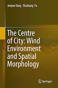 The Centre of City: Wind Environment and Spatial Morphology - Junyan Yang - E-Book