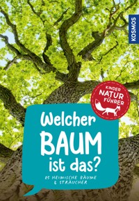 Welcher Baum ist das? Kindernaturführer - Holger Haag - E-Book