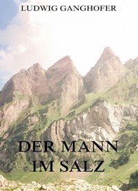Der Mann im Salz - Ludwig Ganghofer - E-Book
