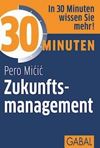 30 Minuten Zukunftsmanagement - Pero Micic - E-Book