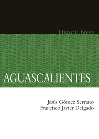 Aguascalientes - Jesús Gómez Serrano - E-Book