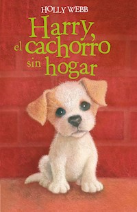 Harry, el cachorro sin hogar - Holly Webb - E-Book