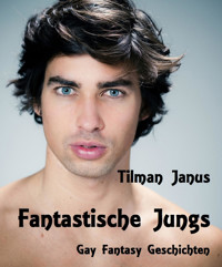Fantastische Jungs 1 - Tilman Janus - E-Book