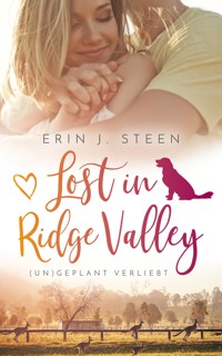 Lost in Ridge Valley - Erin J. Steen - E-Book