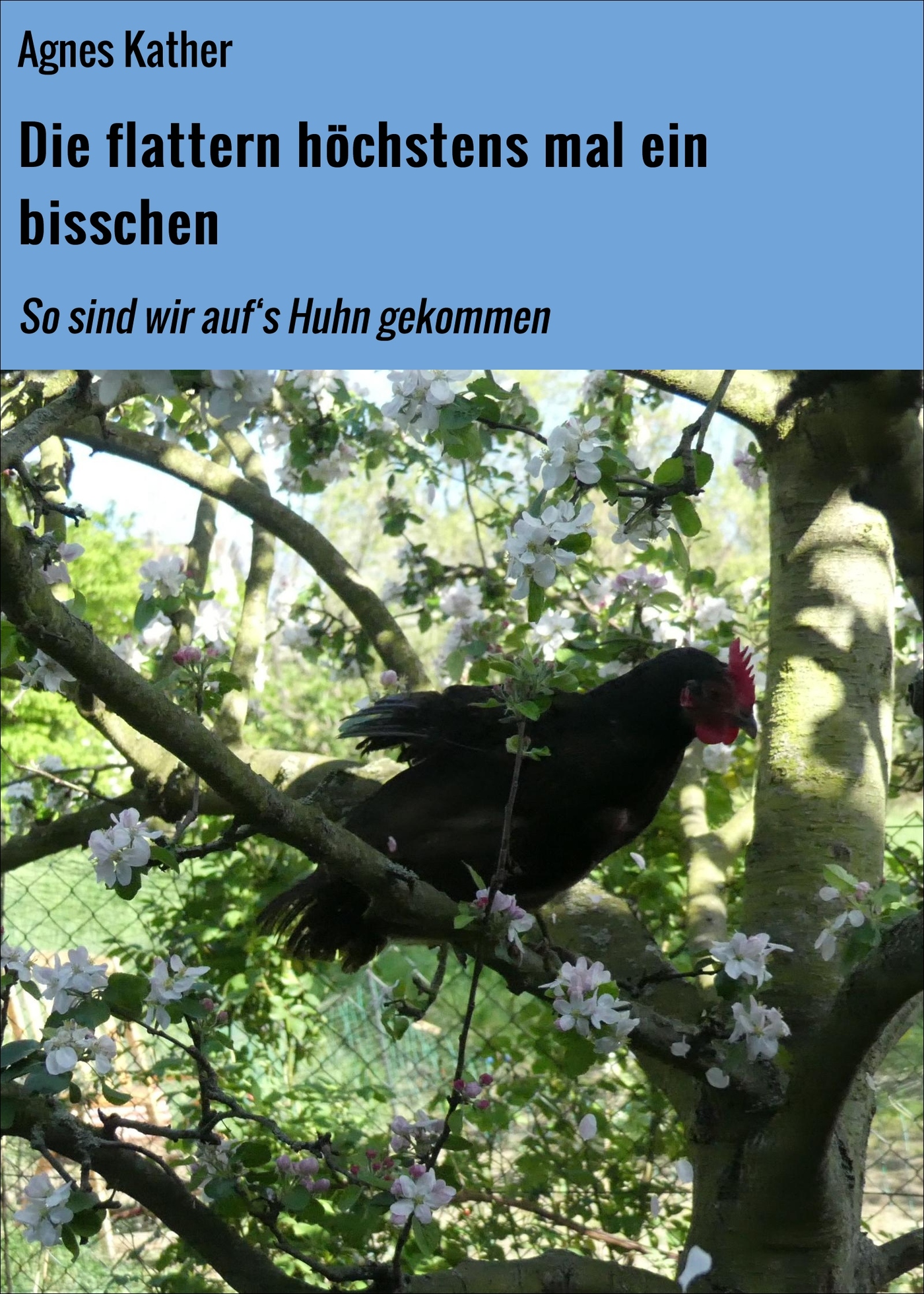 Die flattern höchstens mal ein bisschen - Agnes Kather - E-Book