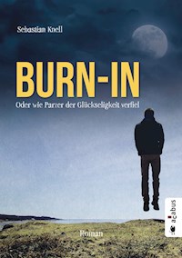 Burn-In. Oder wie Parzer der Glückseligkeit verfiel - Sebastian Knell - E-Book