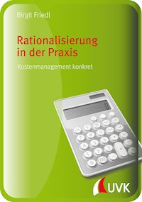 Rationalisierung in der Praxis - Birgit Friedl - E-Book